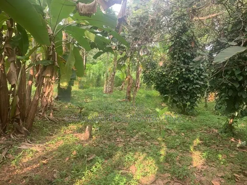 Land For Sale in Yakkala - 700 m to Kandy Rd