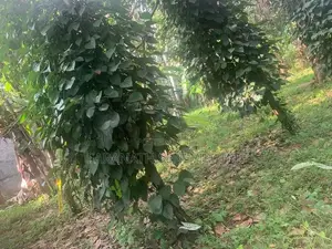 Land For Sale in Yakkala - 700 m to Kandy Rd