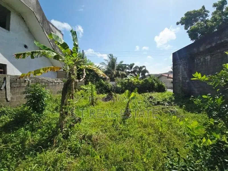 10.44P Bare Land For Sale In Piliyandala