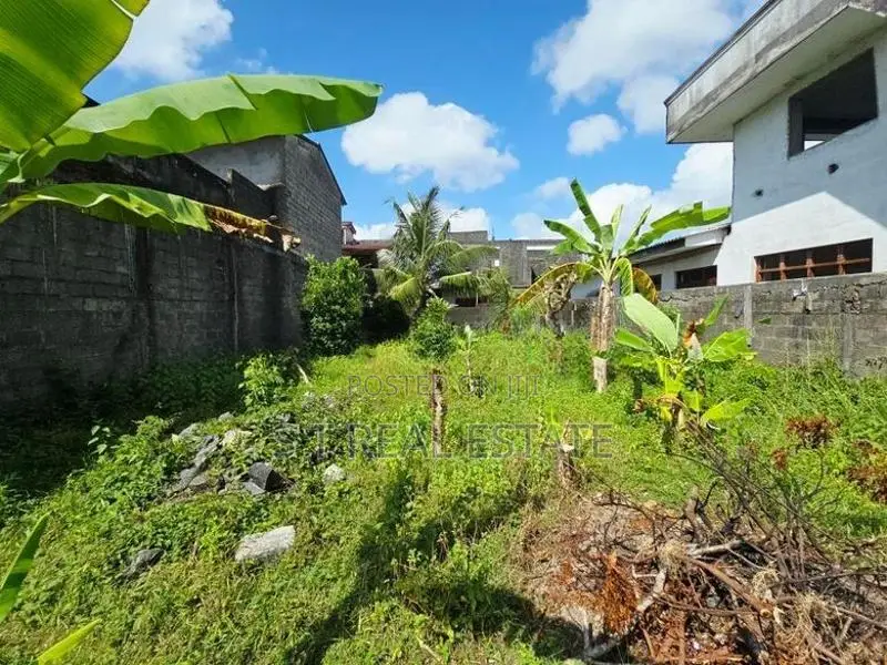 10.44P Bare Land For Sale In Piliyandala