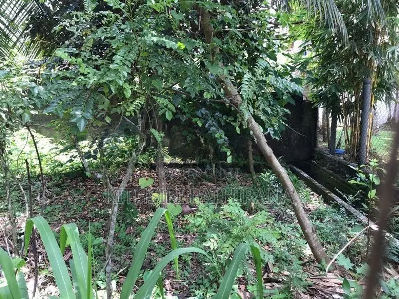 Land For Sale In Habarakada Homagama