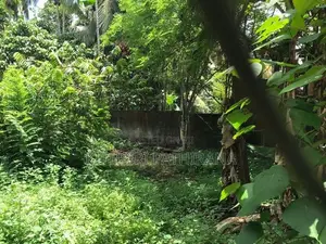 Land For Sale In Habarakada Homagama