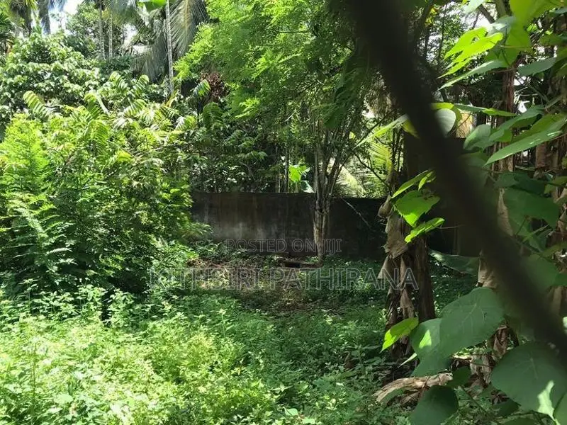 Land For Sale In Habarakada Homagama
