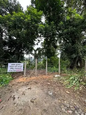 land for sale - 15 Perches 12 Million