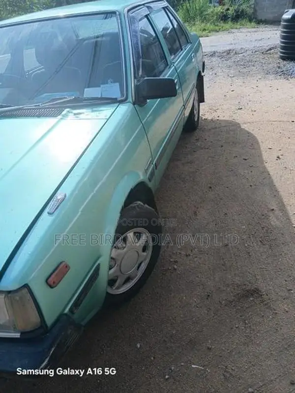 Nissan Sunny Car 1983