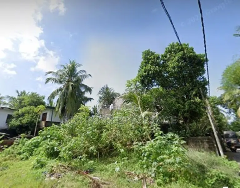 10ph Rectangle bare land for sale in Attidiya, Dehiwala