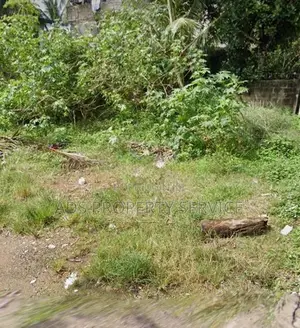 10ph Rectangle bare land for sale in Attidiya, Dehiwala