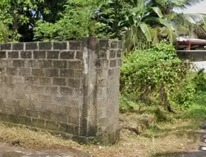 10ph Rectangle bare land for sale in Attidiya, Dehiwala