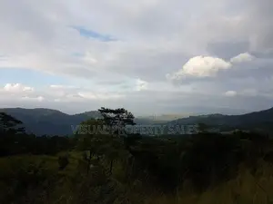 Road Facing Flat Land for Sale in Hanthana