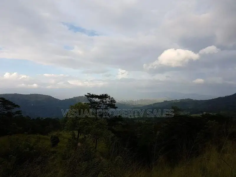 Road Facing Flat Land for Sale in Hanthana