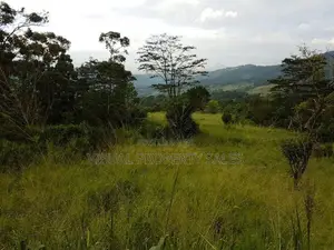 Road Facing Flat Land for Sale in Hanthana