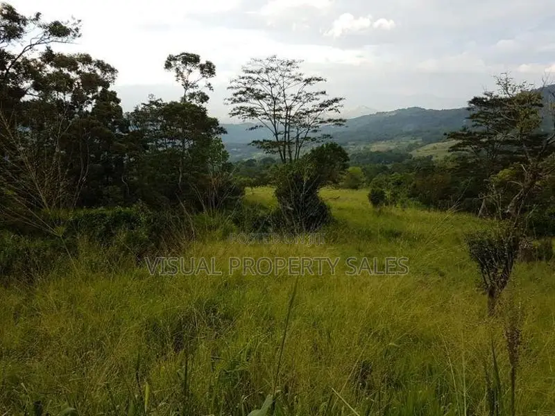 Road Facing Flat Land for Sale in Hanthana