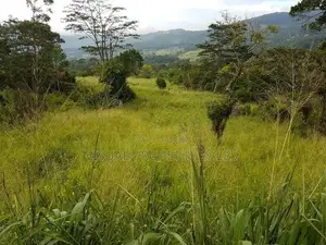 Road Facing Flat Land for Sale in Hanthana