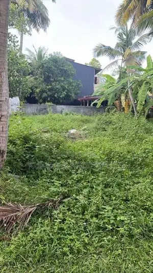 Land for Sale in Wadduwa – Thalpitiya