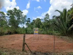 Land for Sale Hindagolla