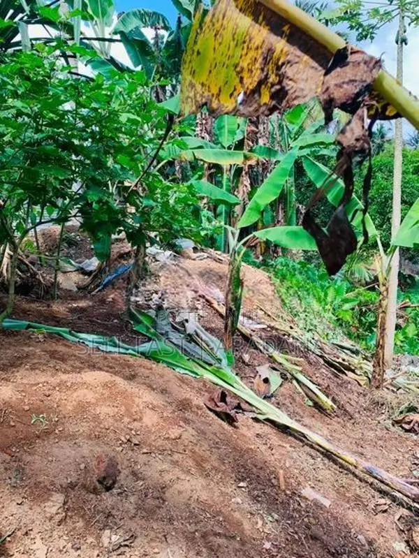 Land For Sale in Godagama Homagama