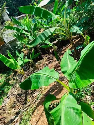 Land For Sale in Godagama Homagama