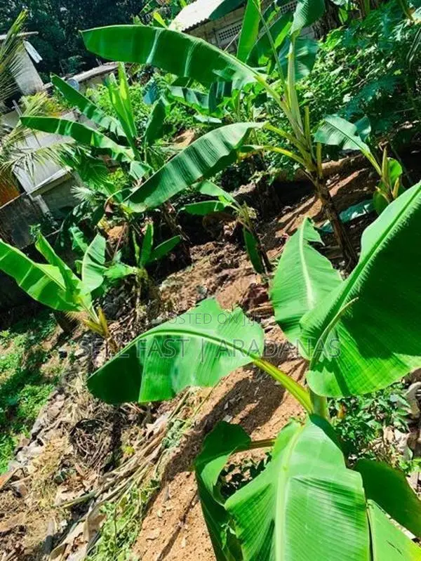 Land For Sale in Godagama Homagama