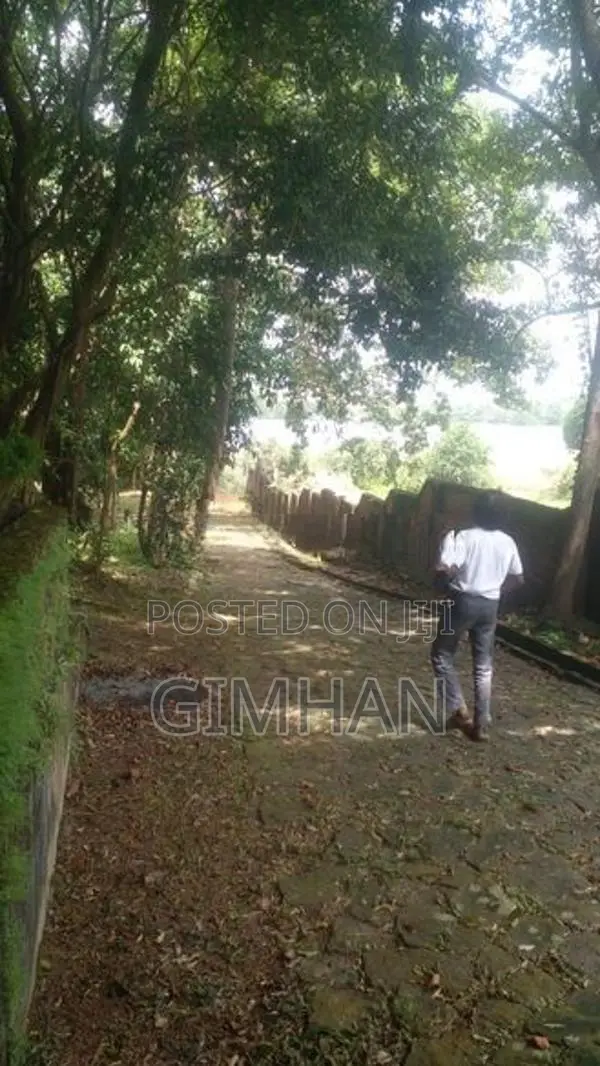175 Perched Land For Sale Piliyandala