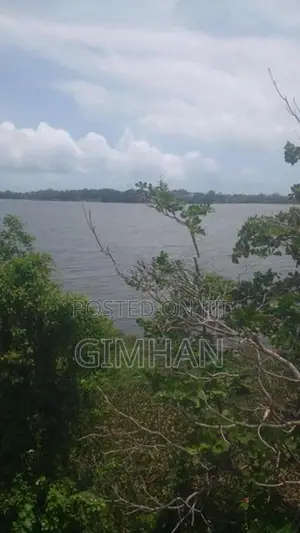 175 Perched Land For Sale Piliyandala
