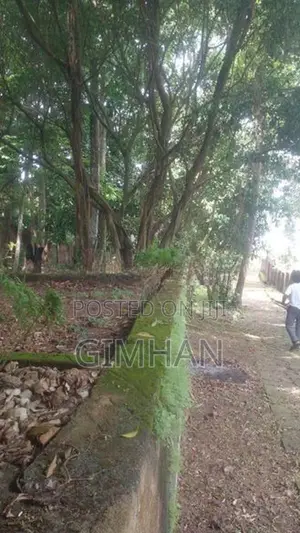 175 Perched Land For Sale Piliyandala