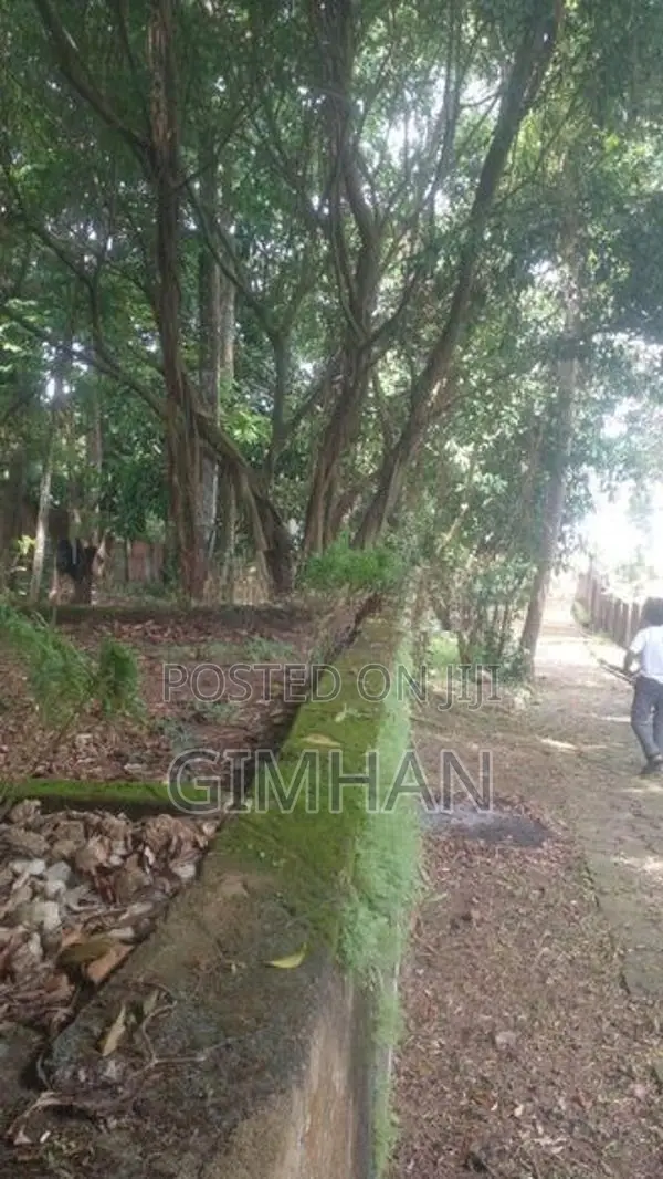 175 Perched Land For Sale Piliyandala