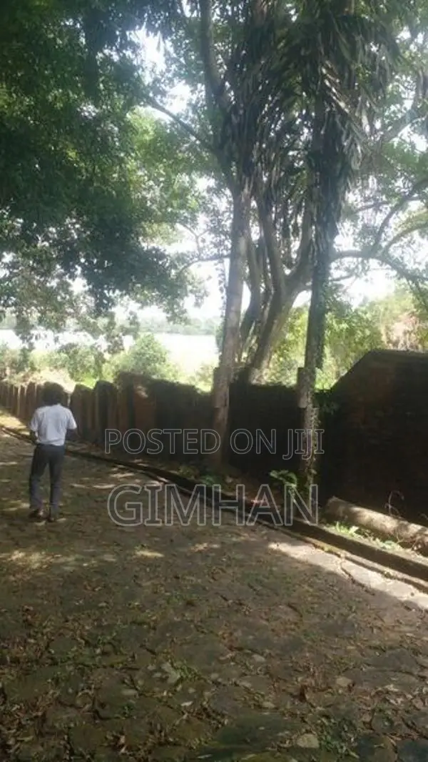 175 Perched Land For Sale Piliyandala