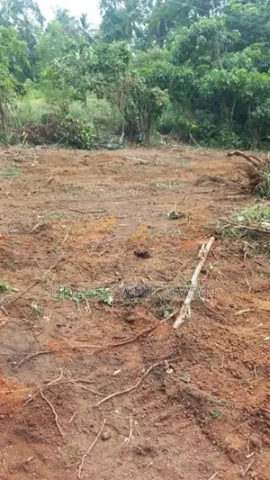 පර්චස් 15 ඉඩම විකිණීමට කහබිලිහේන