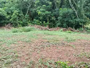 පර්චස් 15 ඉඩම විකිණීමට කහබිලිහේන