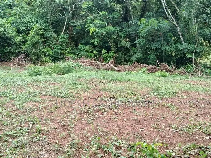 පර්චස් 15 ඉඩම විකිණීමට කහබිලිහේන