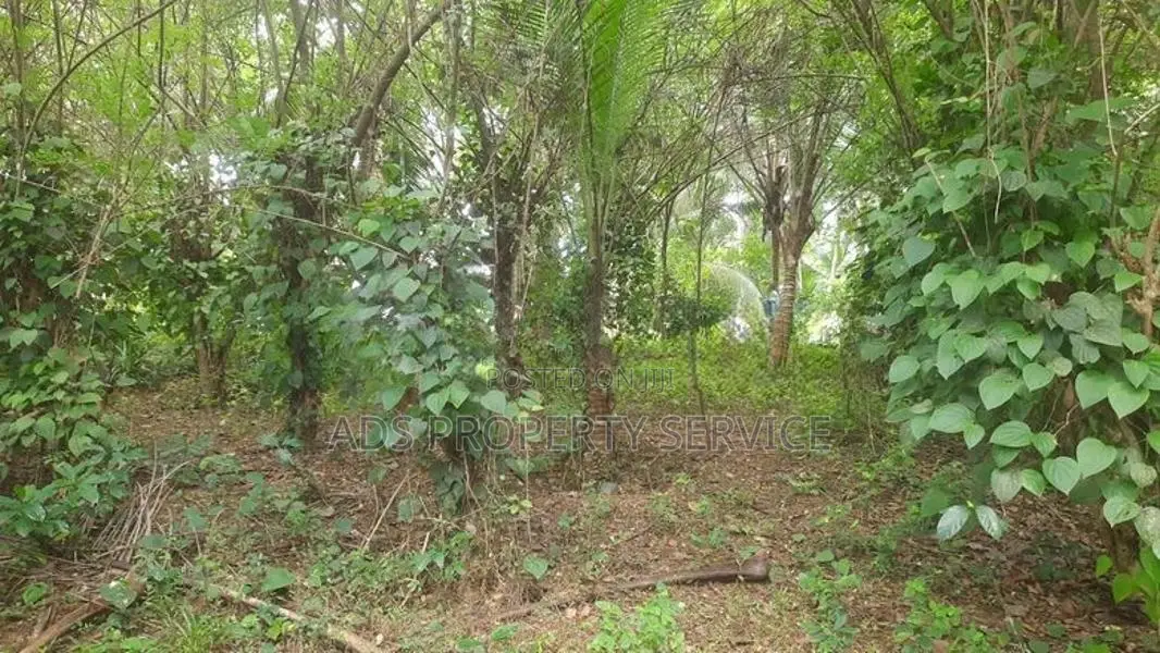111Ph Land For Sale in Panadura, Arukgoda (Sri Indrasara Mawatha)