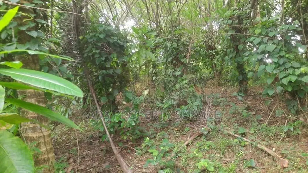 111Ph Land For Sale in Panadura, Arukgoda (Sri Indrasara Mawatha)