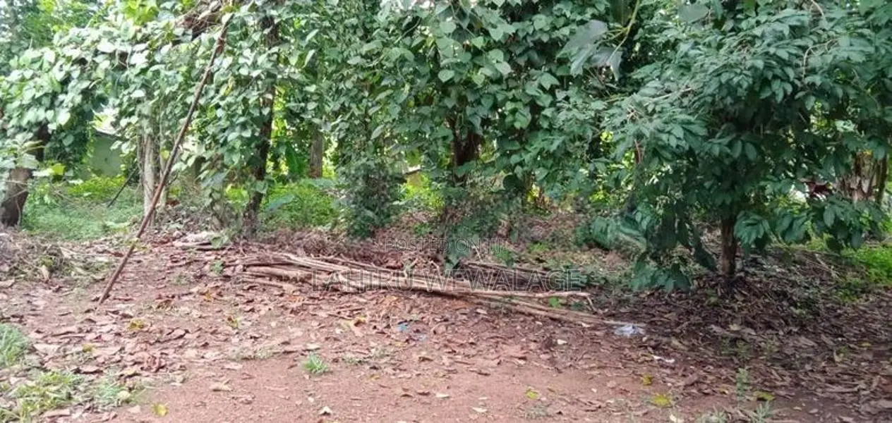 18P Land For Sale 3km From Kadawatha