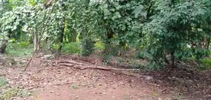 18P Land For Sale 3km From Kadawatha
