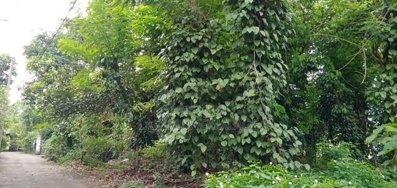 18P Land For Sale 3km From Kadawatha