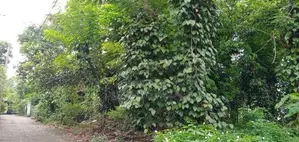 18P Land For Sale 3km From Kadawatha