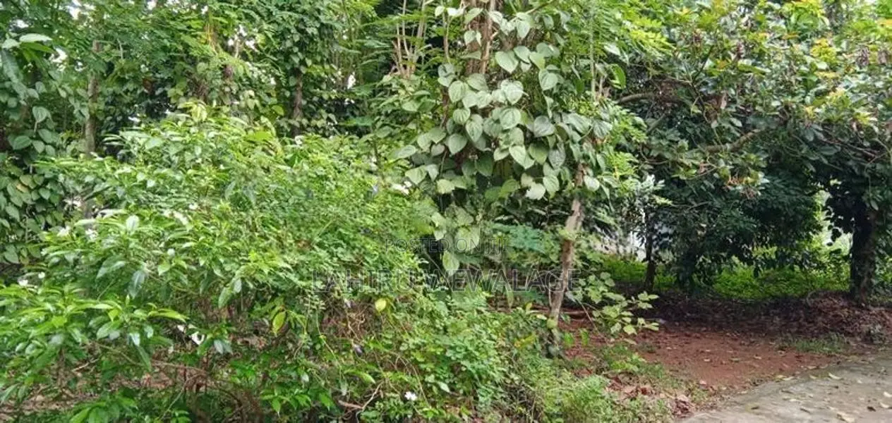18P Land For Sale 3km From Kadawatha