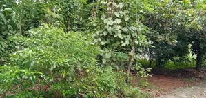 18P Land For Sale 3km From Kadawatha