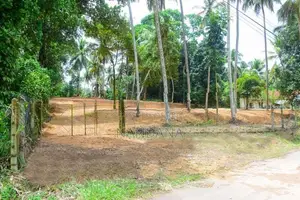 162.5P Prime Land For Sale in Gampaha, Yakkala