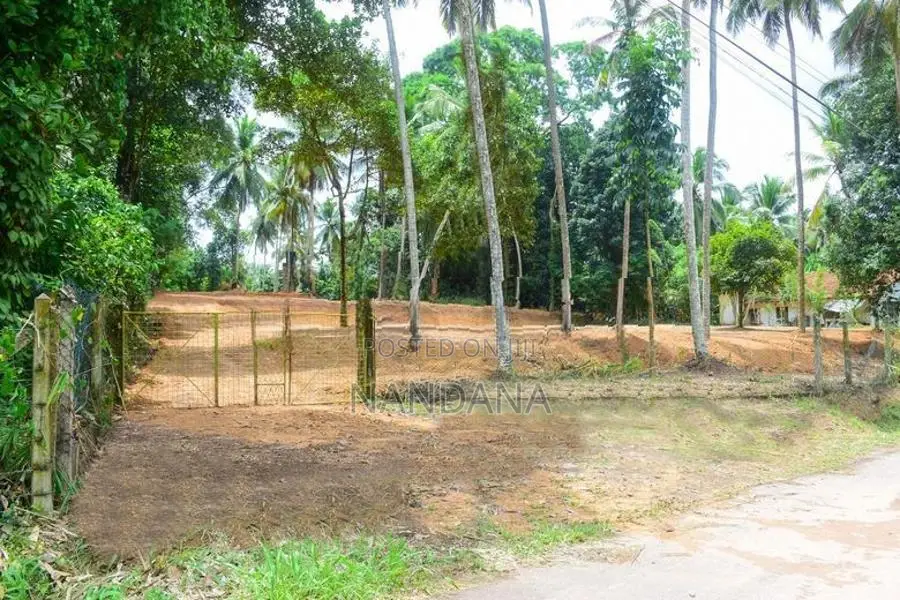 162.5P Prime Land For Sale in Gampaha, Yakkala