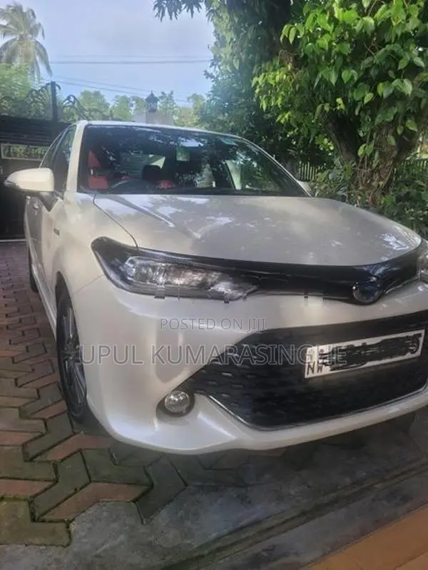 Toyota Axio WxB 2017