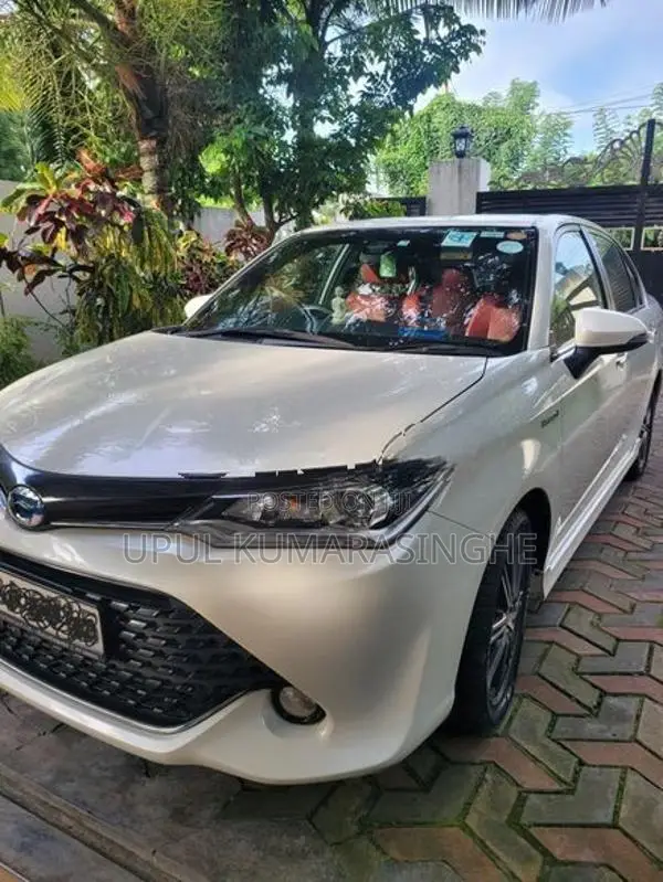 Toyota Axio WxB 2017