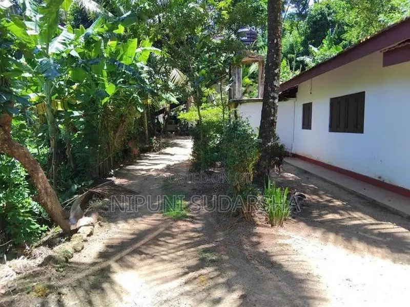 Mirissa Tourists Zone - 84 Perches Land With 02 Houses For Sale