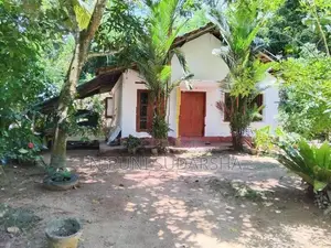 Mirissa Tourists Zone - 84 Perches Land With 02 Houses For Sale