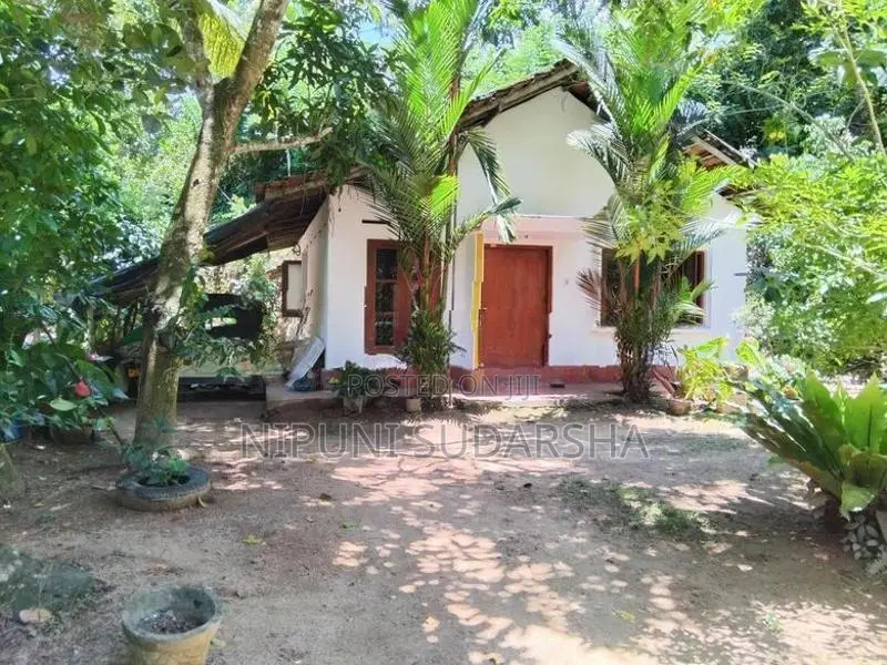 Mirissa Tourists Zone - 84 Perches Land With 02 Houses For Sale