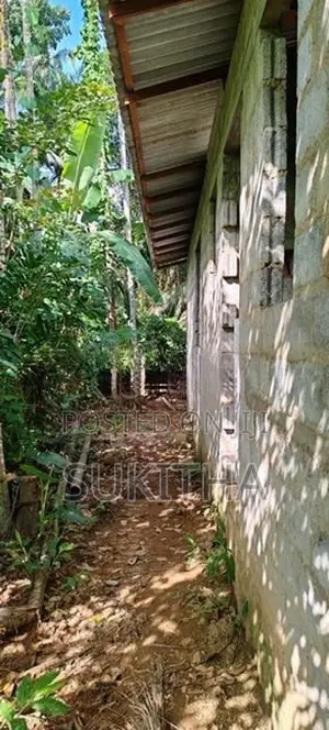 Land for Sale Magammana