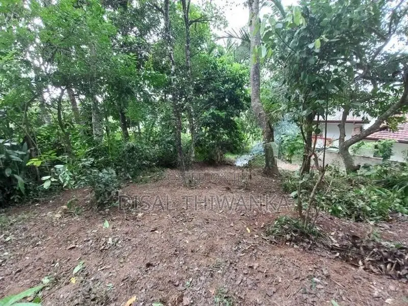 Land For Sale In Unawatuna Galle