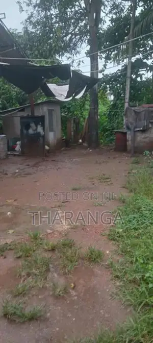 land for rent in athidiya