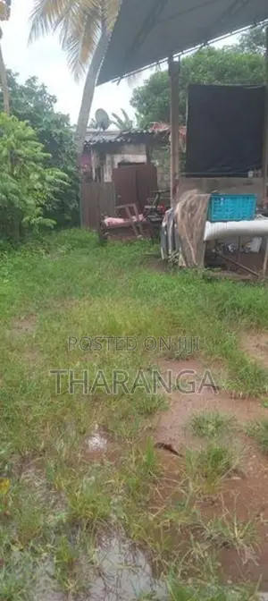 land for rent in athidiya