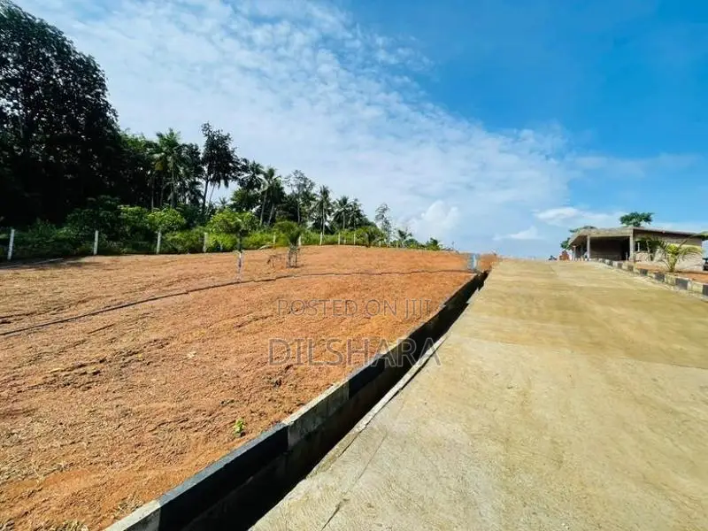 Kalagedihena නුවර පාරට කෙටි දුරකින් නිස්කලංක පරිසරයක බිම් කොටස් කිහිපය